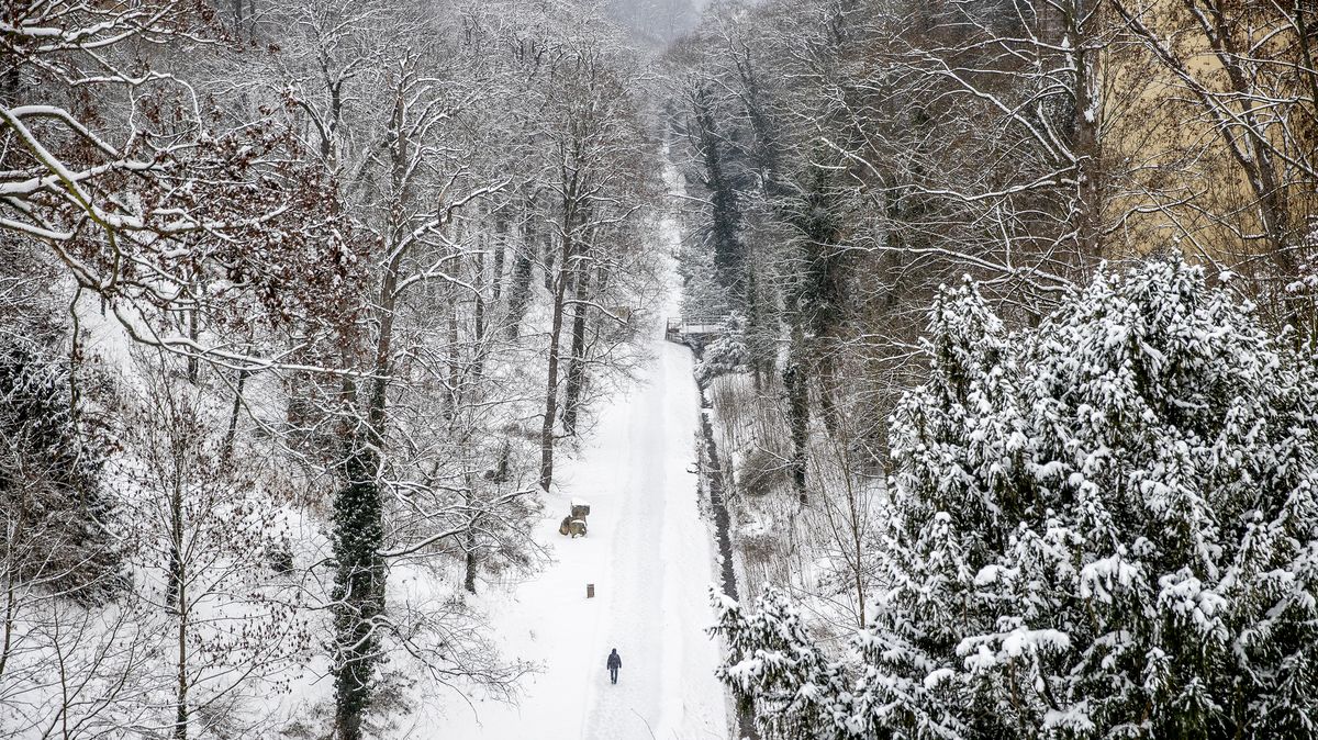 Obrazem: Nově otevřený Jelení příkop láká k zimní procházce